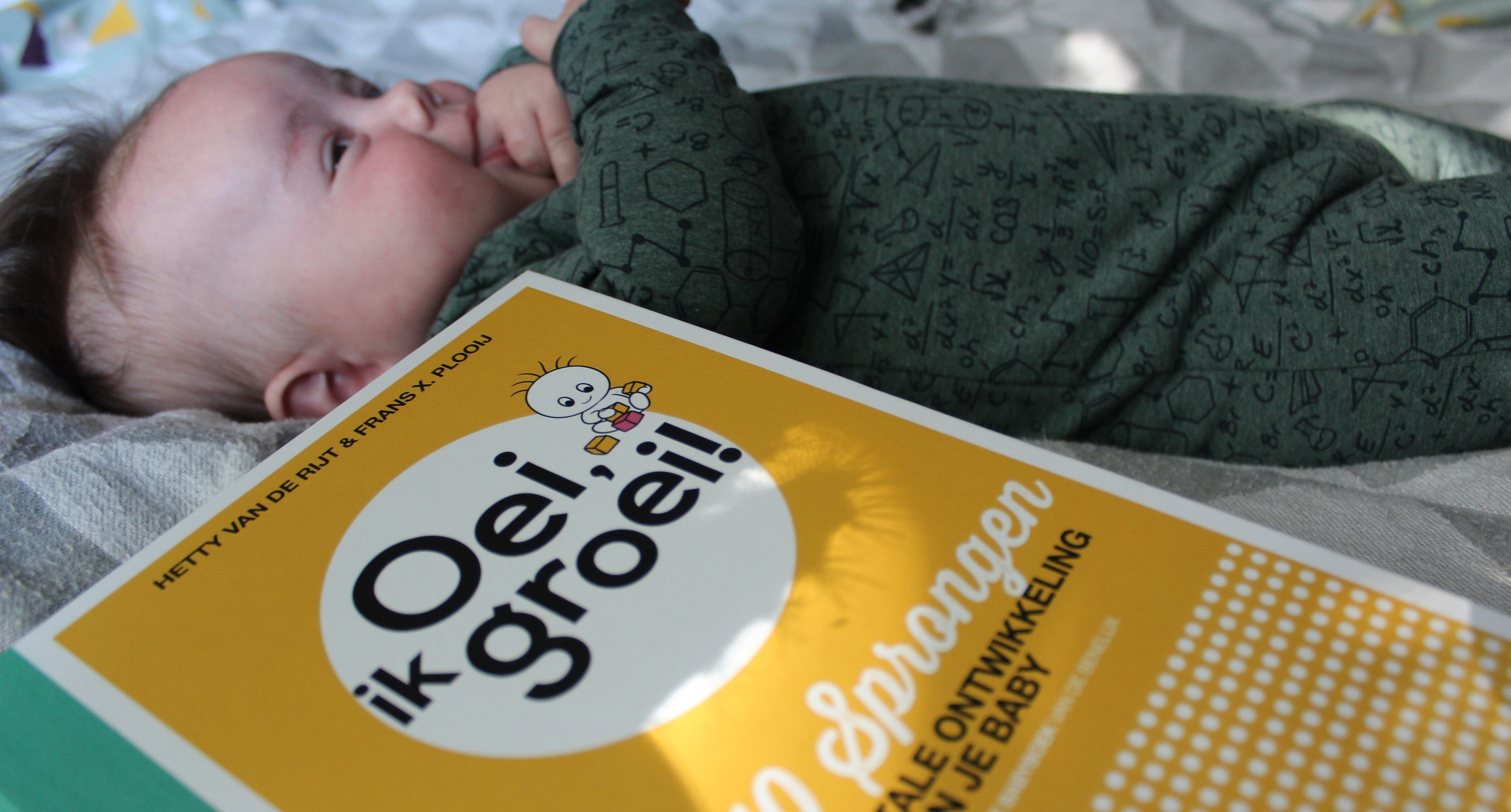 Oei ik groei, babyboek, babybijbel