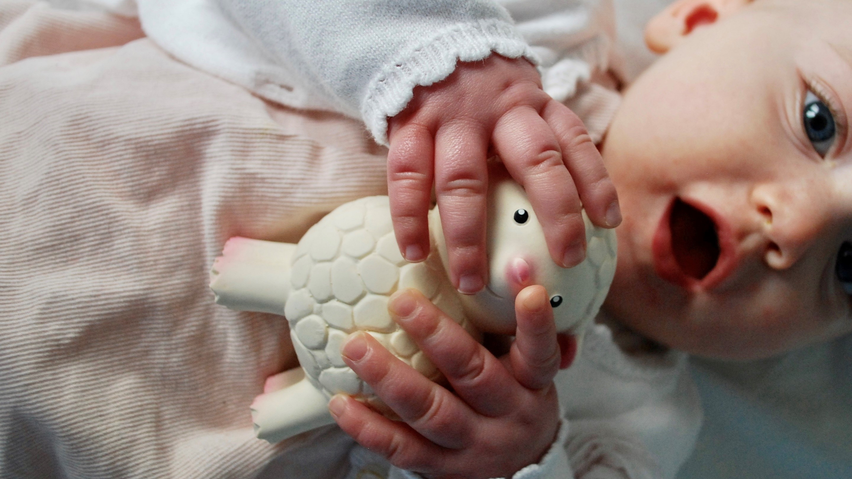 lanco, sensory speelgoed