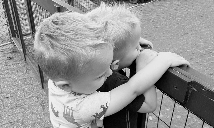 tweeling, peuter tweeling, opvoeden van een tweeling, babylabel