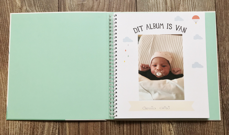 baby's eerste jaar invulboek, milestone babyboek, milestone baby invulboek 