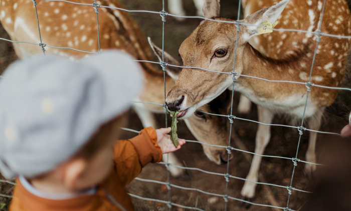 peuterpuberteit, kind 2 jaar, toddler
