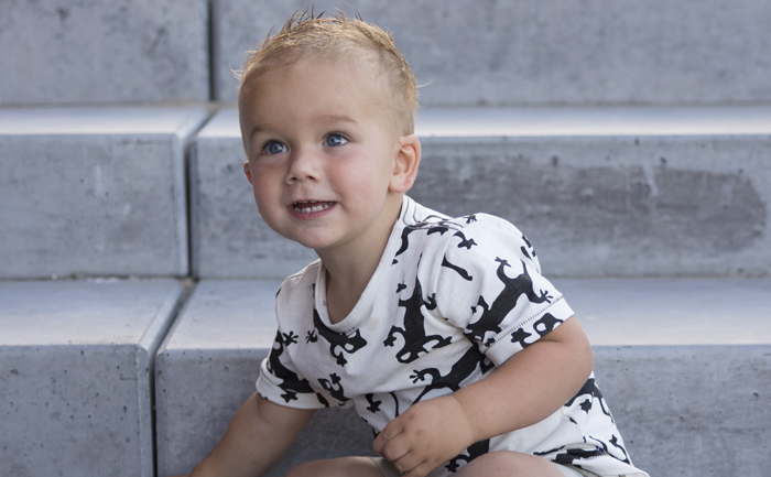 Ontwikkeling van een dreumes, van dreumes naar peuter