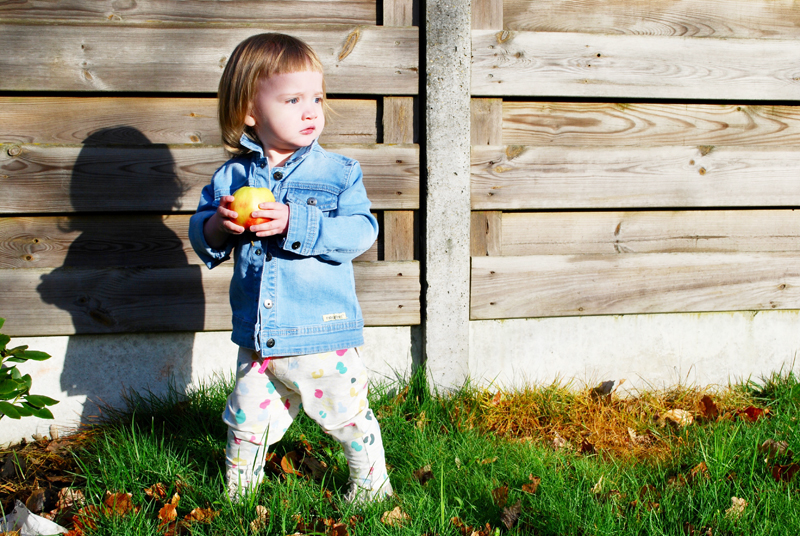 opvoeden van een peuter