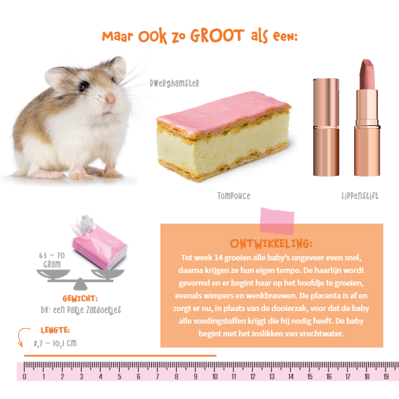 babyboek hoe groot is jouw baby