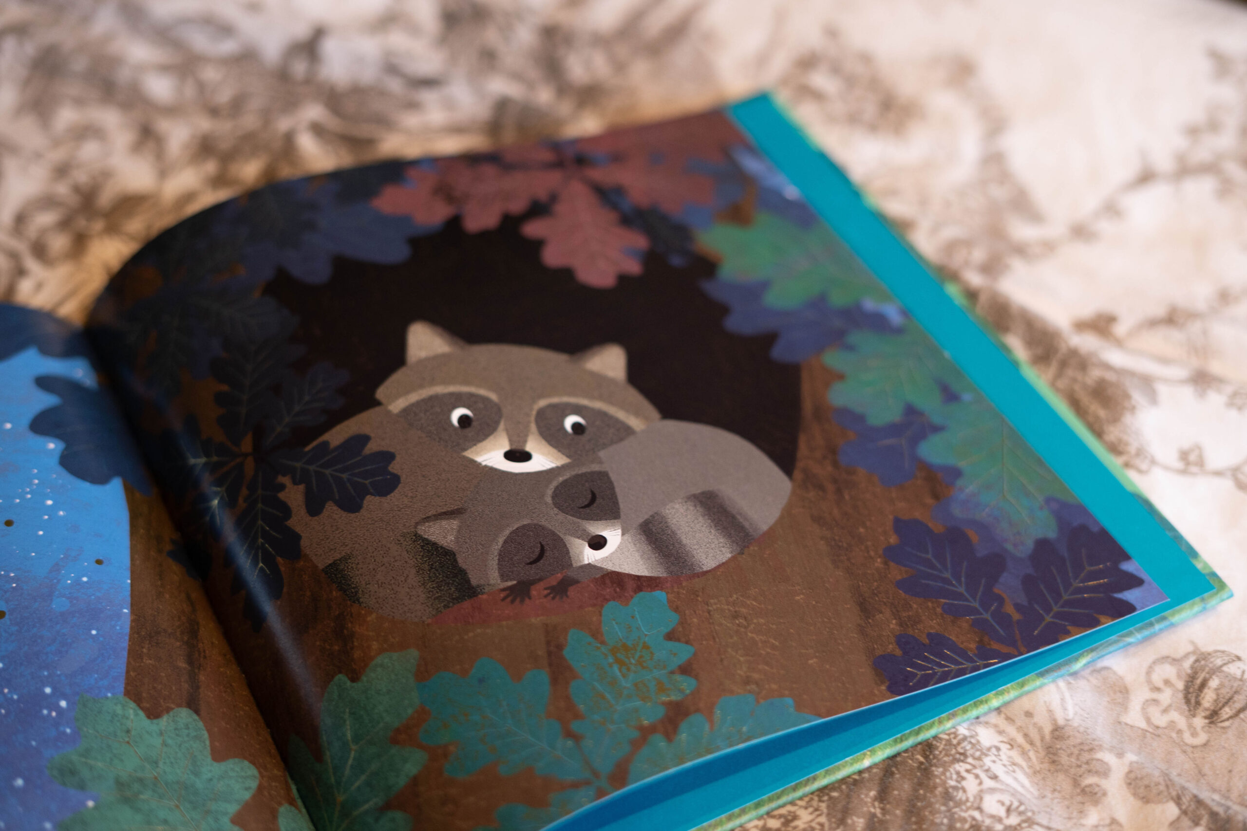 Boekreview – Toen ik jouw grote zus werd - BABYLABEL