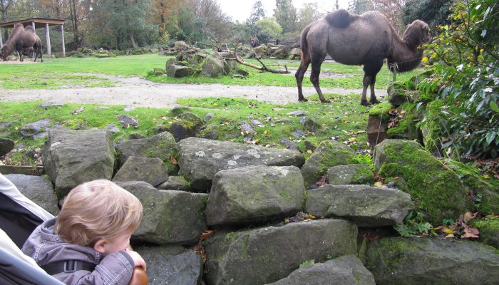 dierentuin, mamablog