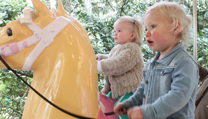 dagje uit met peuter, avonturenpark hellendoorn, dagje uit met kleine kinderen