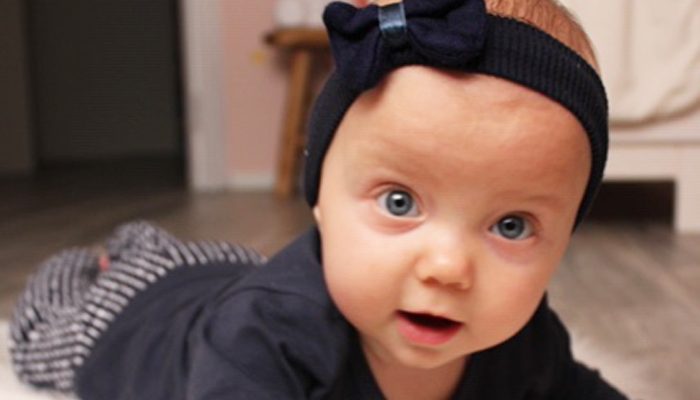 bampidano, bampidano review