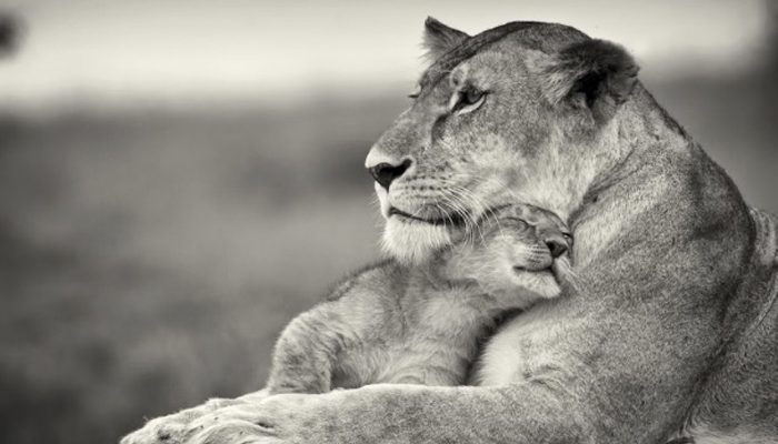 waakzaam slapen, mamablog, babyblog