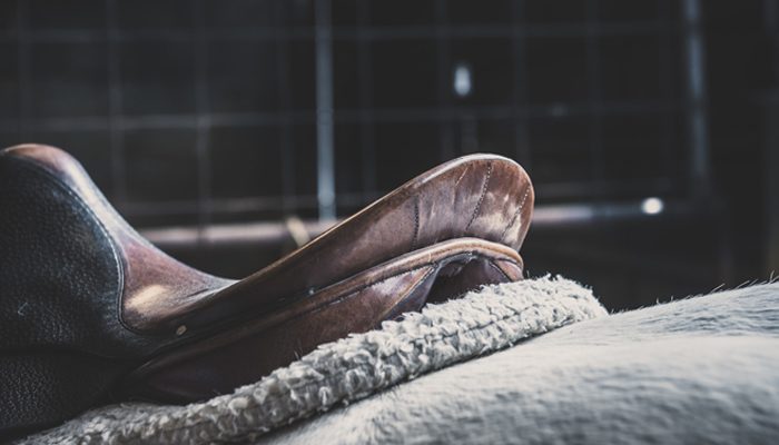 zwanger en paardrijden